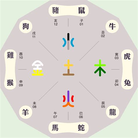 保险属于什么五行|保险行业的五行属性是什么？